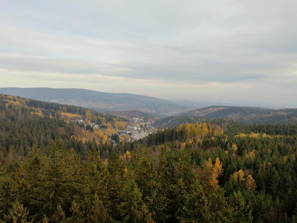 stezka korunami stromů 2